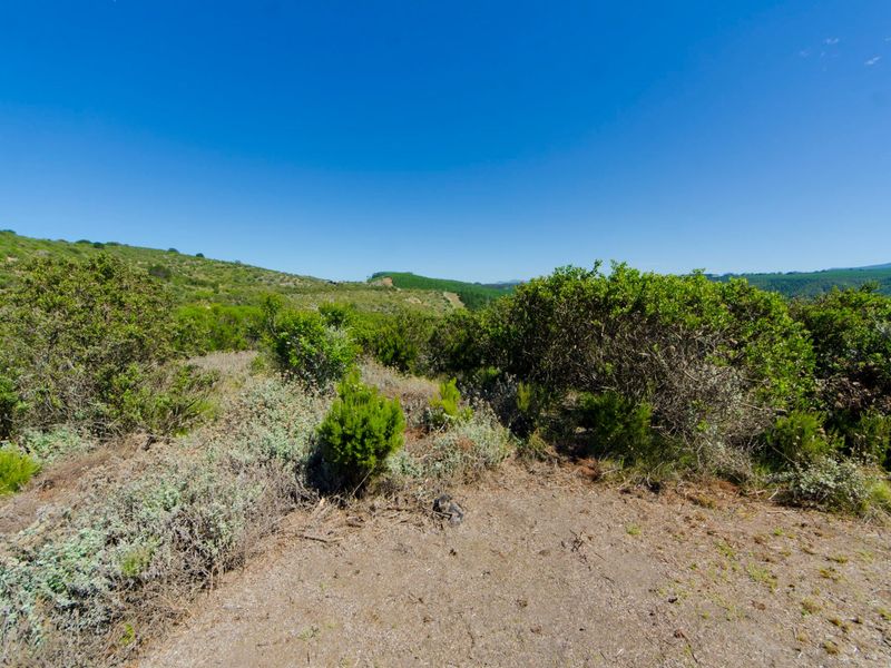 NEW RELEASE : Phase 3 Plots - Photo 3