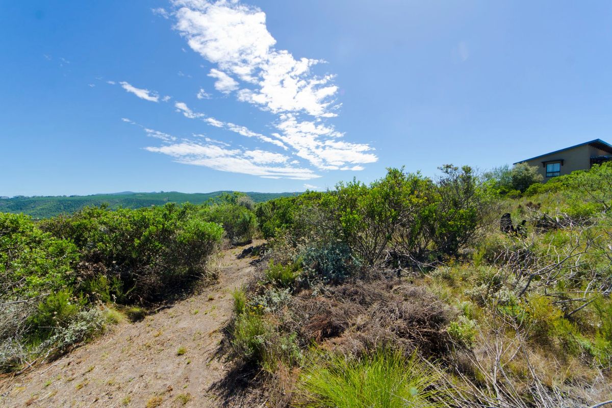 A scenic view of the natural landscape and native vegetation on the vacant residential property.