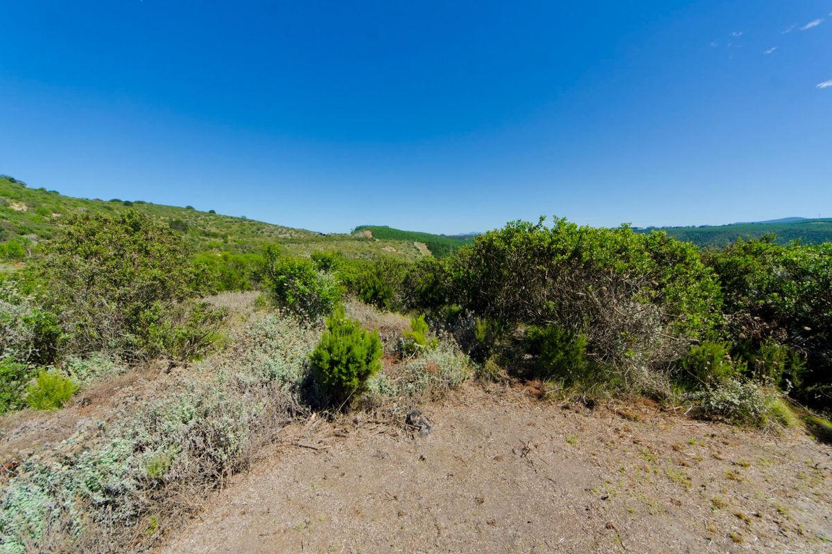 A scenic view of the natural landscape featuring rolling hills and native vegetation on this vacant residential plot.