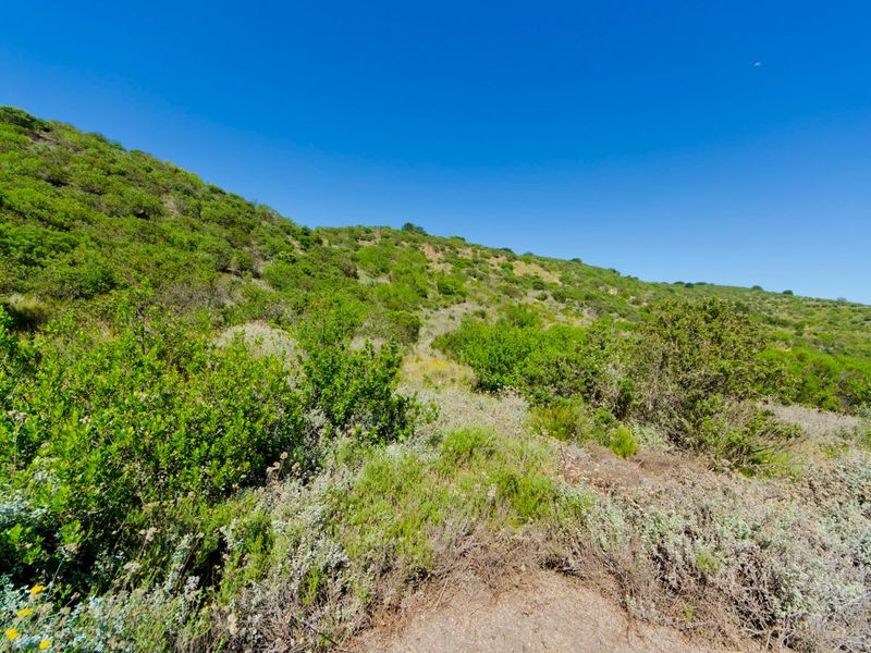 NEW RELEASE : Phase 3 Plots - Photo 1