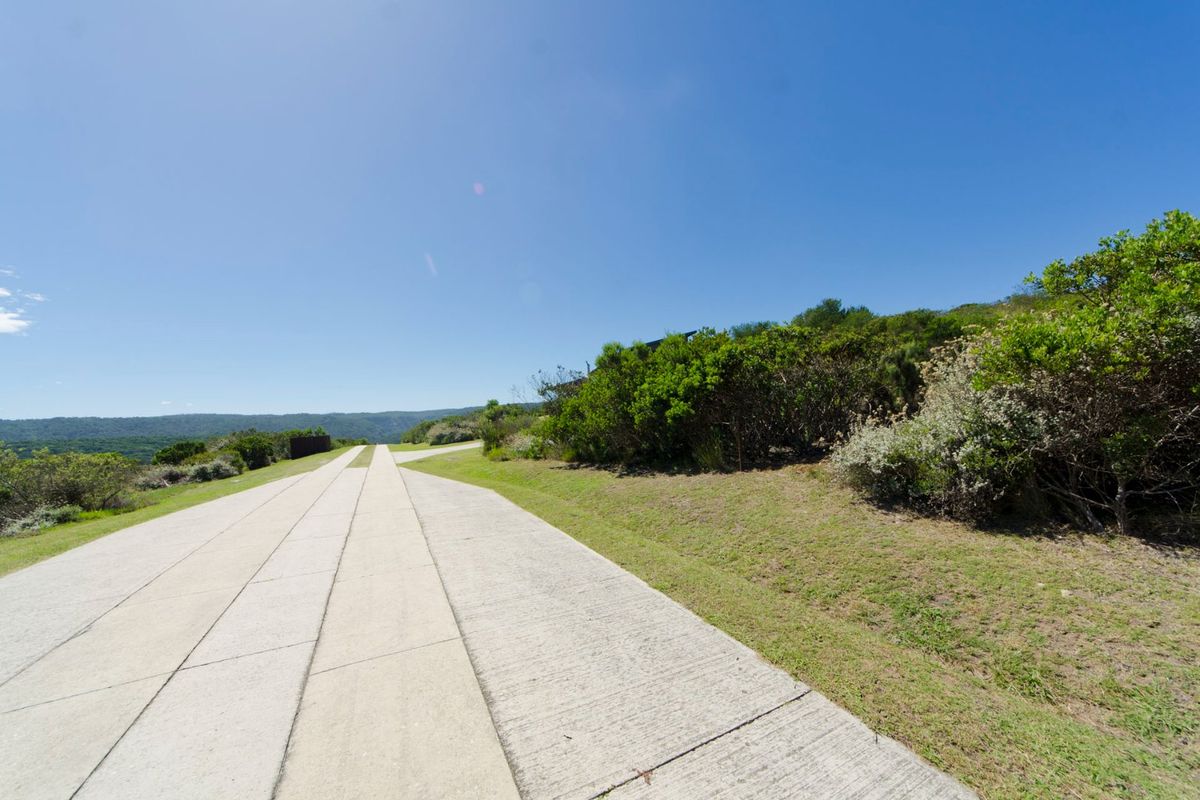 A clear view of a concrete driveway leading through a landscaped residential area with native vegetation and distant hills.
