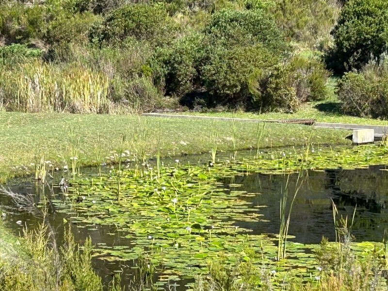 NEW RELEASE : Phase 3 Plots - Photo 5