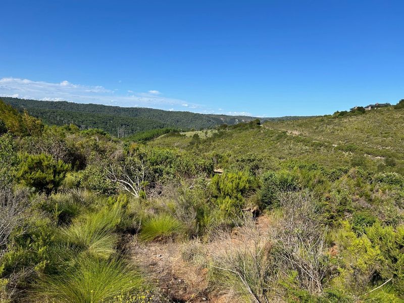 NEW RELEASE : Phase 3 Plots - Photo 4