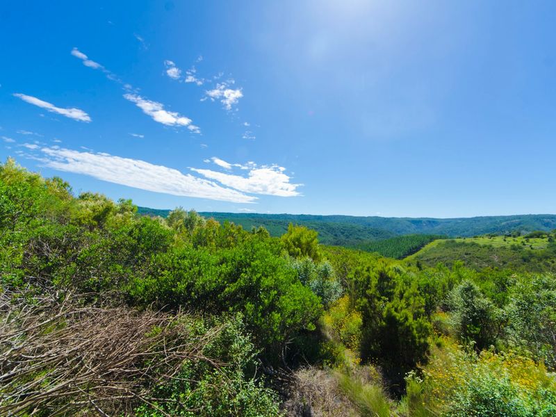 NEW RELEASE : Phase 3 Plots - Photo 3