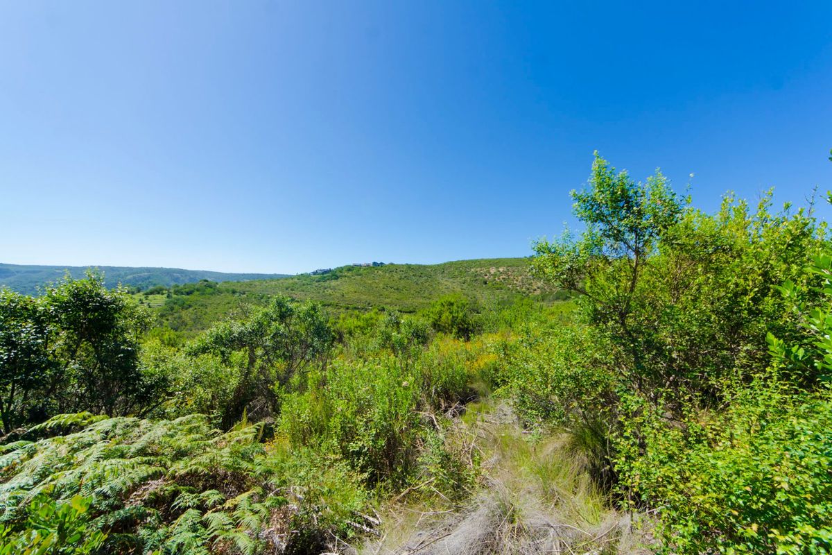 NEW RELEASE : Phase 3 Plots - Photo 2