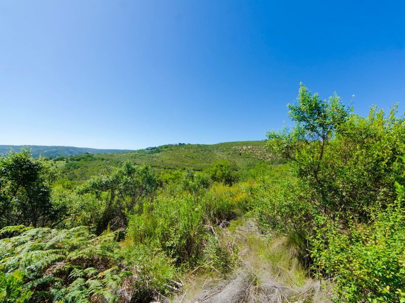 NEW RELEASE : Phase 3 Plots - Photo 2