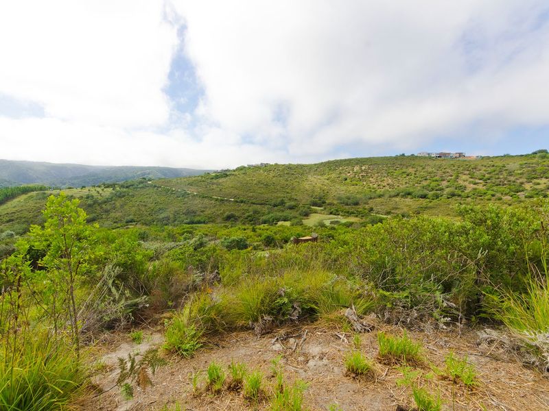 NEW RELEASE : Phase 3 Plots - Photo 5