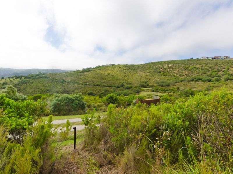 NEW RELEASE : Phase 3 Plots - Photo 2