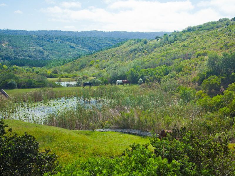 NEW RELEASE : Phase 3 Plots - Photo 8