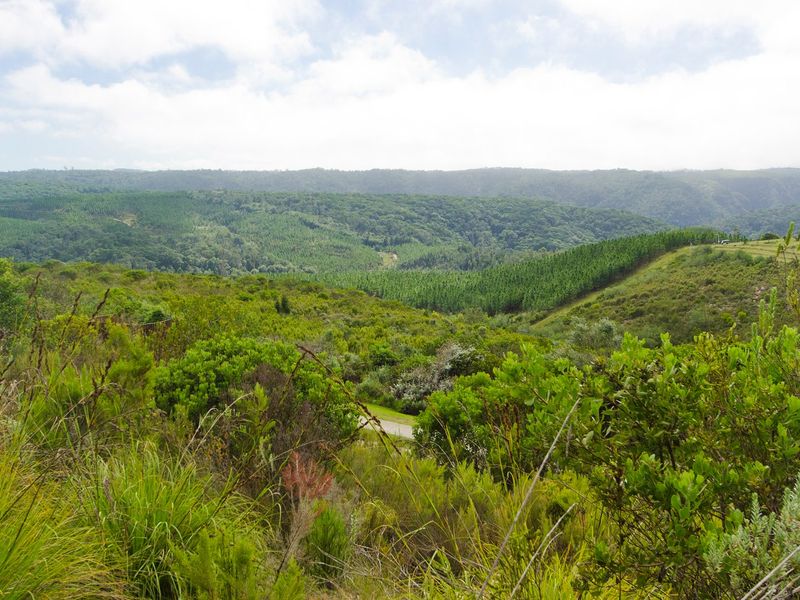 NEW RELEASE : Phase 3 Plots - Photo 4