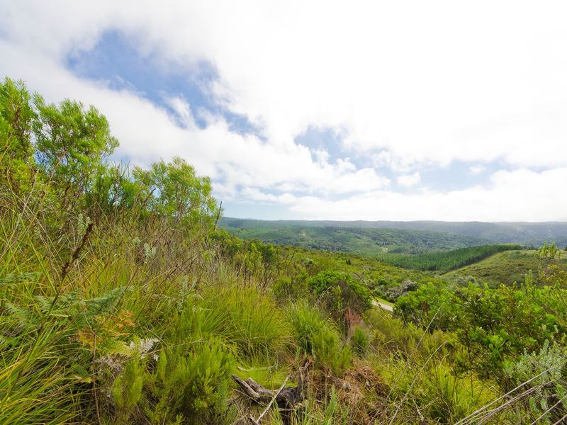 NEW RELEASE : Phase 3 Plots - Photo 6