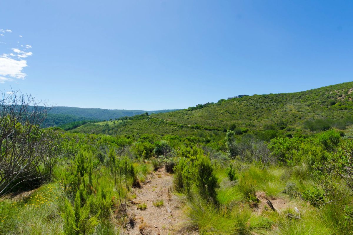 A scenic view of the natural landscape featuring rolling hills, native vegetation, and open terrain on this vacant residential property.