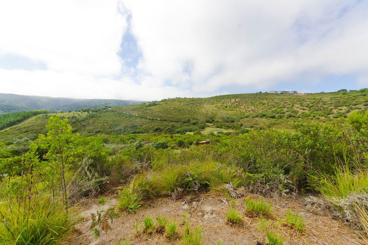 A scenic view of the natural landscape and rolling hills surrounding the vacant residential land.