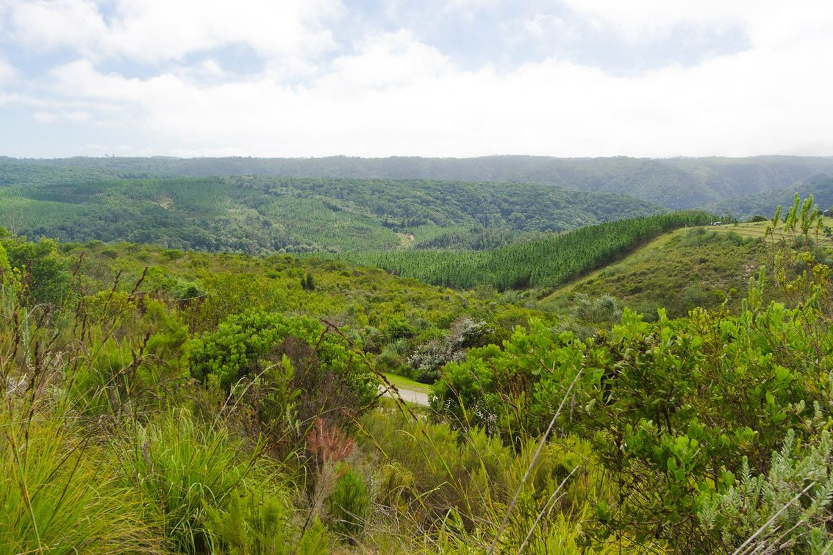A scenic view overlooking lush green hills and dense forest landscape, showcasing the natural beauty of the surrounding area.