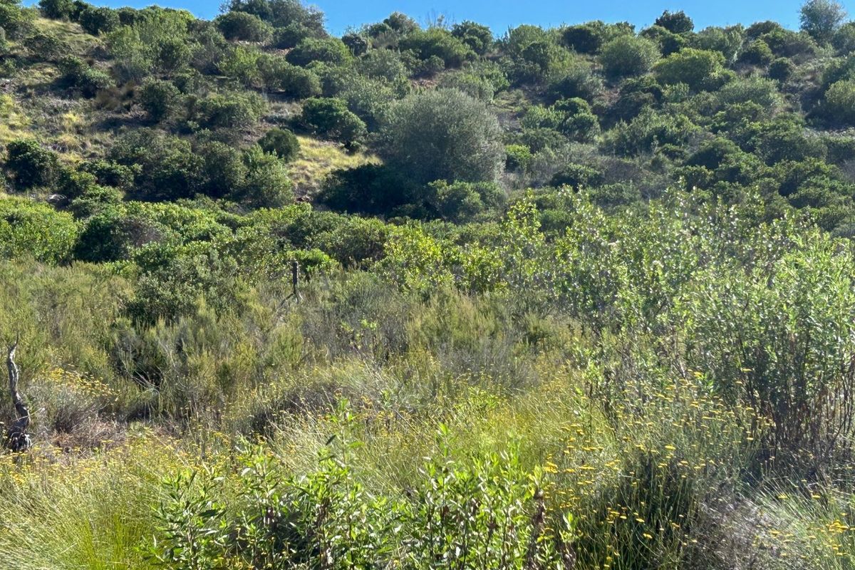 NEW RELEASE : Phase 3 Plots - Photo 3