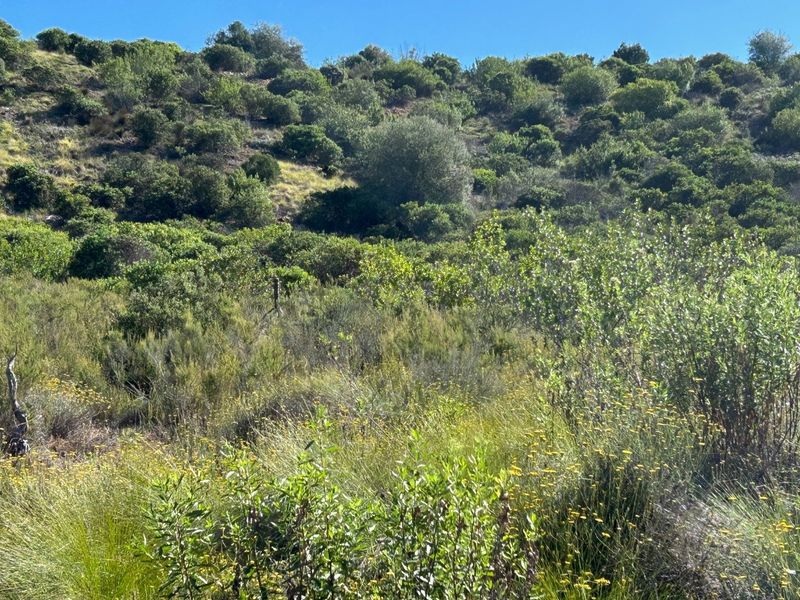 NEW RELEASE : Phase 3 Plots - Photo 3