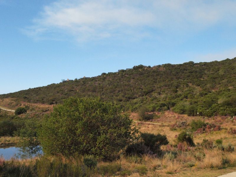 NEW RELEASE : Phase 3 Plots - Photo 7