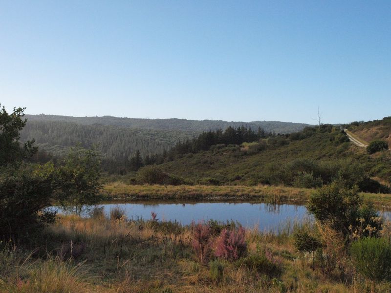 NEW RELEASE : Phase 3 Plots - Photo 6