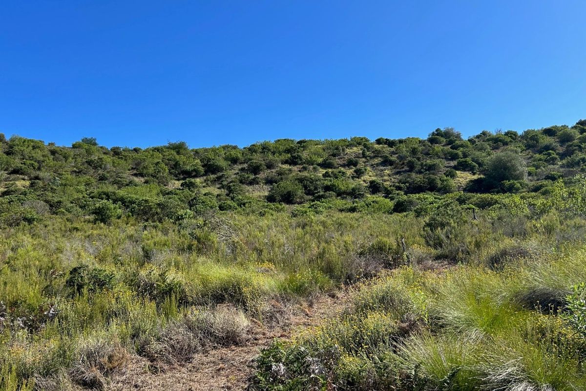 NEW RELEASE : Phase 3 Plots - Photo 2