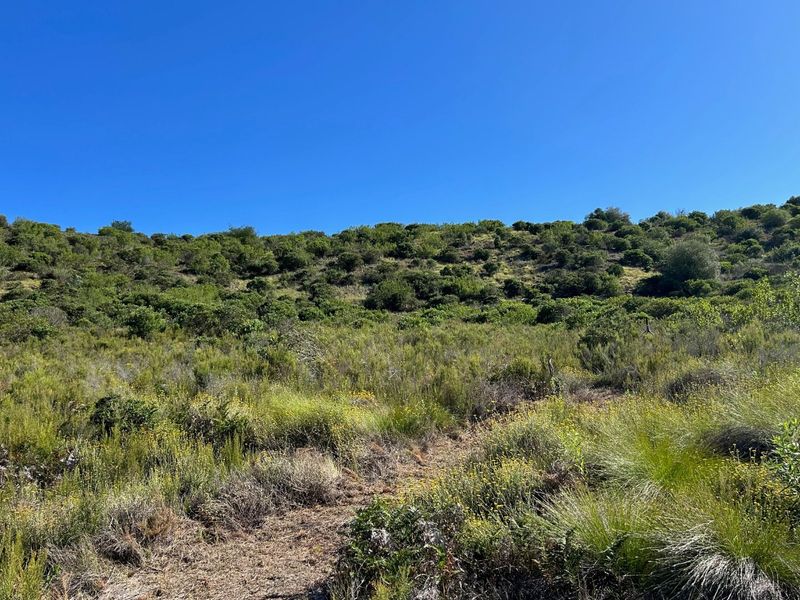 NEW RELEASE : Phase 3 Plots - Photo 2