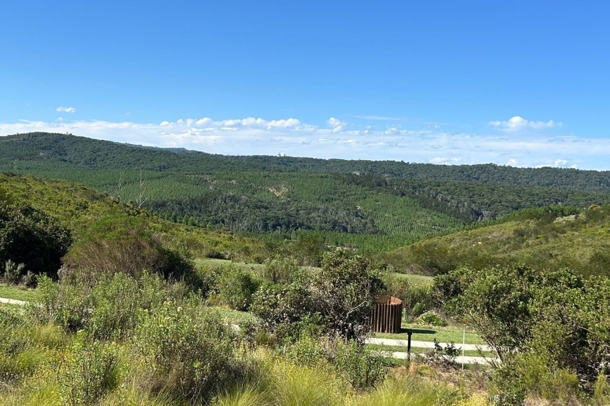 NEW RELEASE : Phase 3 Plots - Photo 5