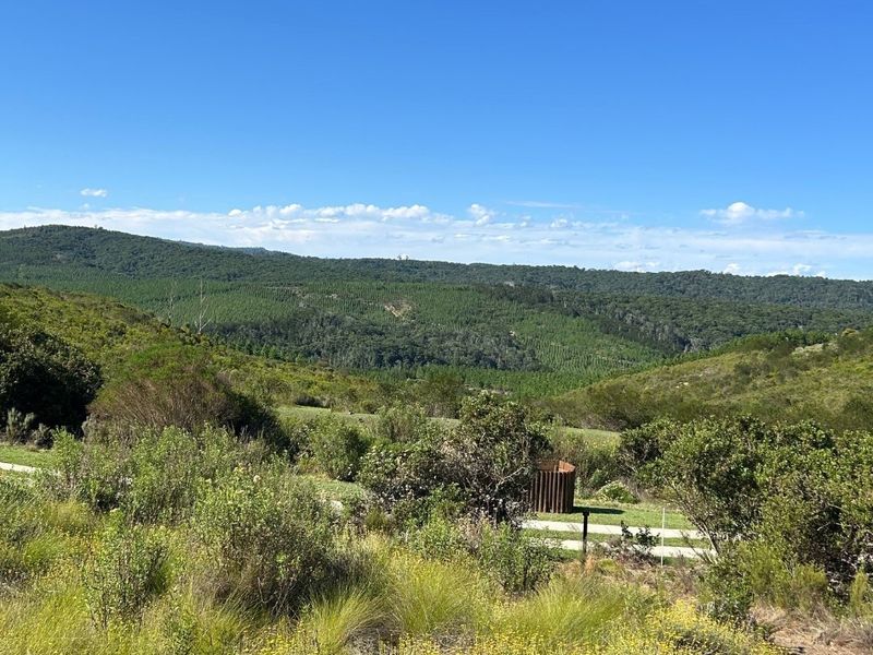 NEW RELEASE : Phase 3 Plots - Photo 5