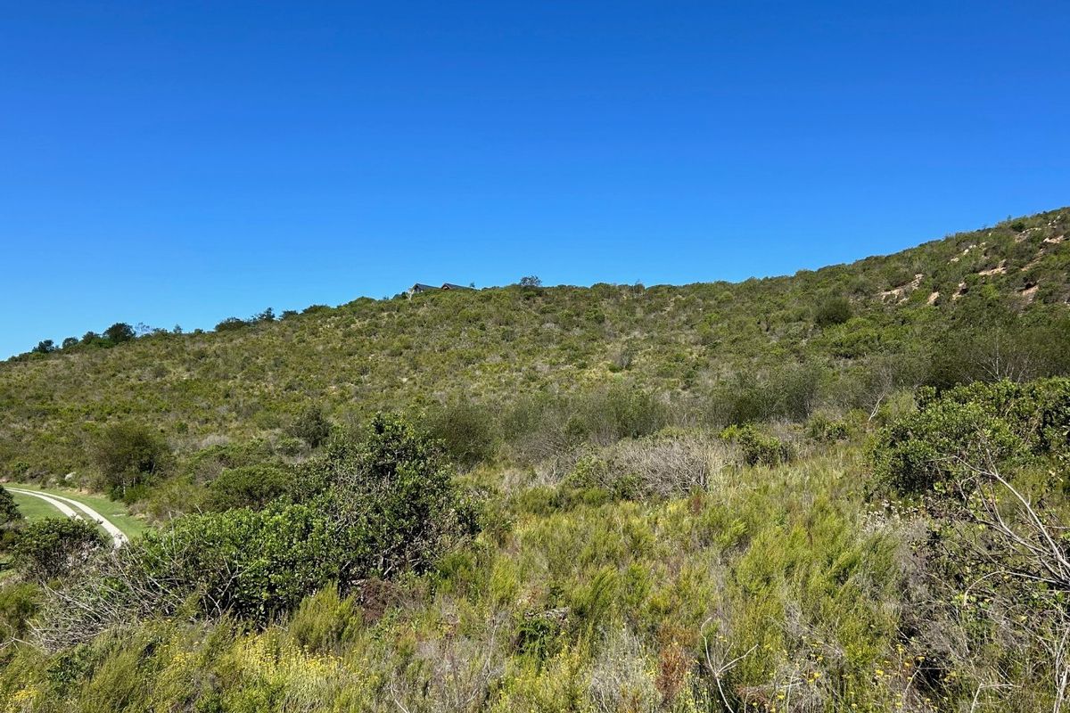 NEW RELEASE : Phase 3 Plots - Photo 4