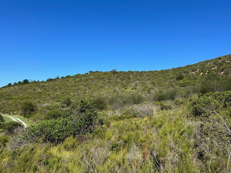 NEW RELEASE : Phase 3 Plots - Photo 4