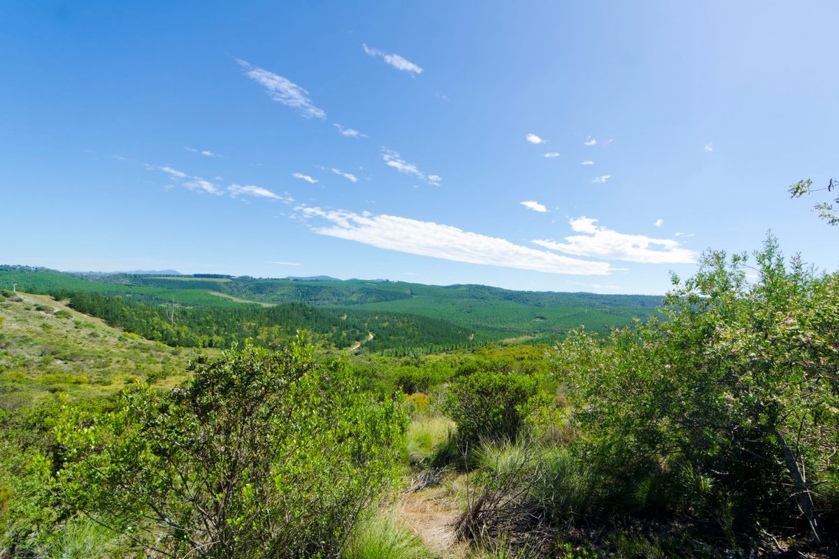 NEW RELEASE : Phase 3 Plots - Photo 3