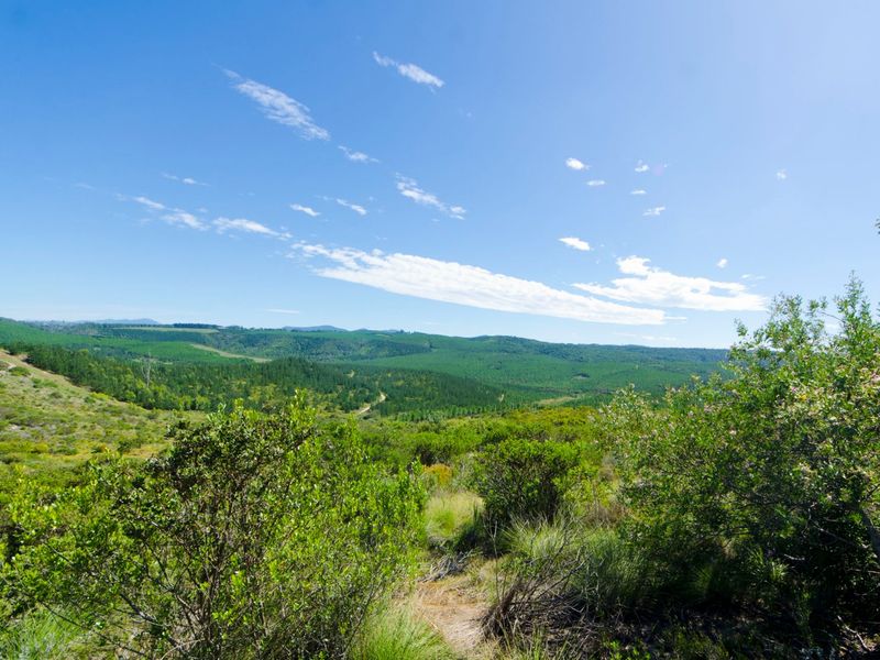 NEW RELEASE : Phase 3 Plots - Photo 3