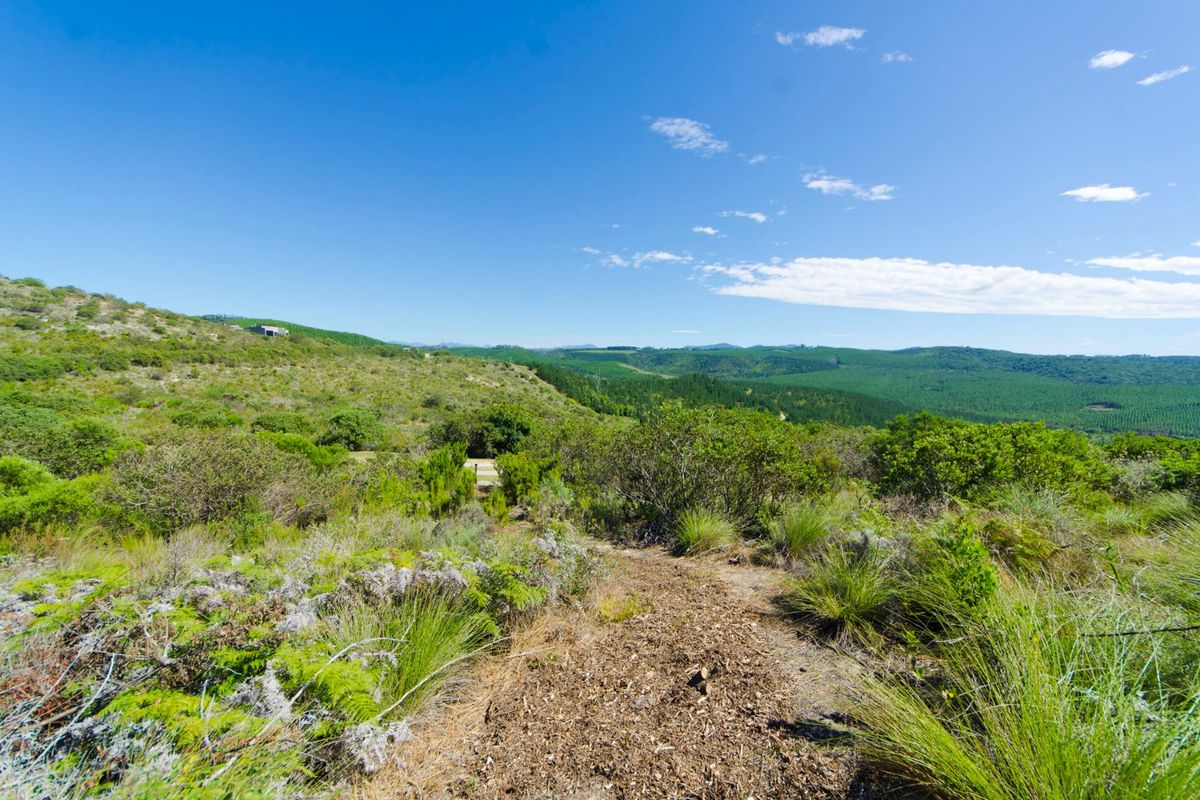 NEW RELEASE : Phase 3 Plots - Photo 4