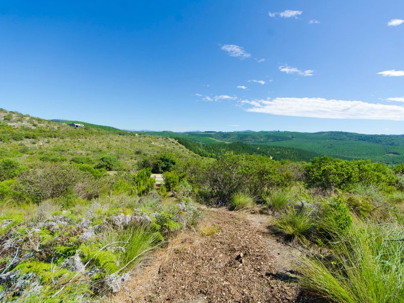 NEW RELEASE : Phase 3 Plots - Photo 4