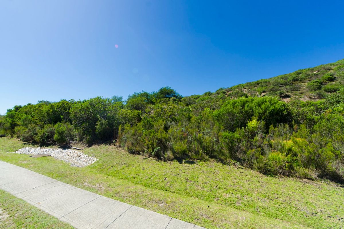 NEW RELEASE : Phase 3 Plots - Photo 5