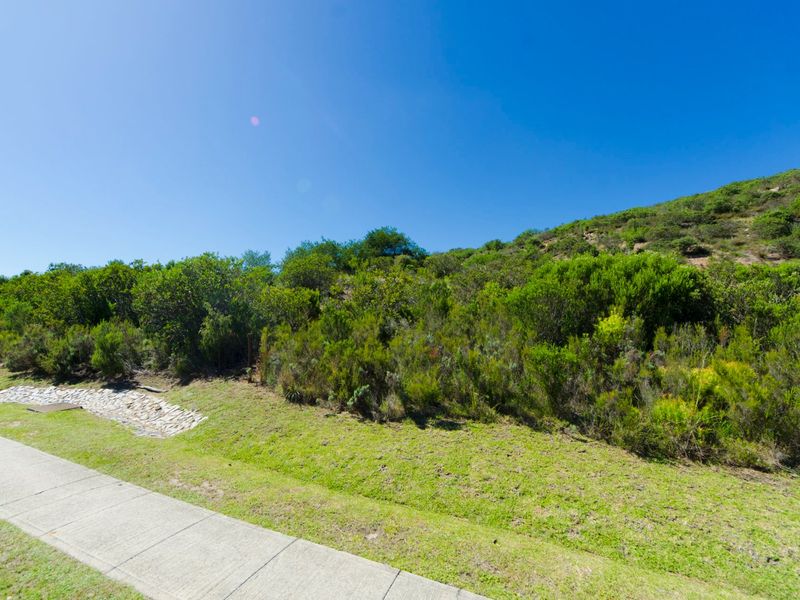 NEW RELEASE : Phase 3 Plots - Photo 5