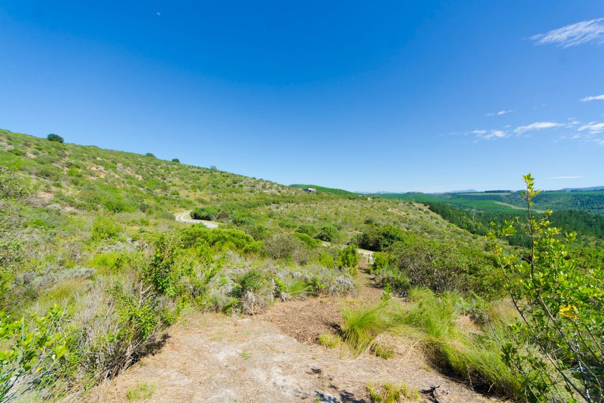 NEW RELEASE : Phase 3 Plots - Photo 2