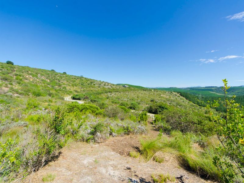 NEW RELEASE : Phase 3 Plots - Photo 2