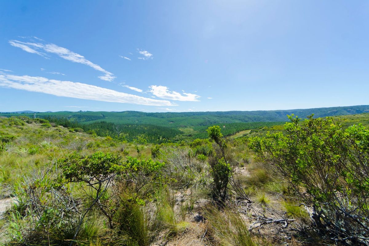 NEW RELEASE : Phase 3 Plots - Photo 4