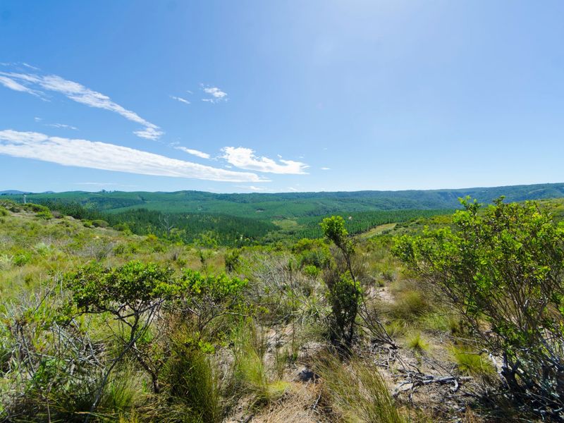 NEW RELEASE : Phase 3 Plots - Photo 4