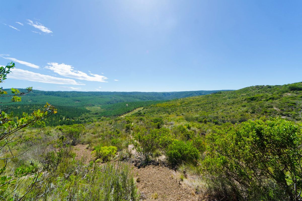 NEW RELEASE : Phase 3 Plots - Photo 2