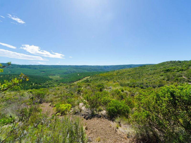 NEW RELEASE : Phase 3 Plots - Photo 2