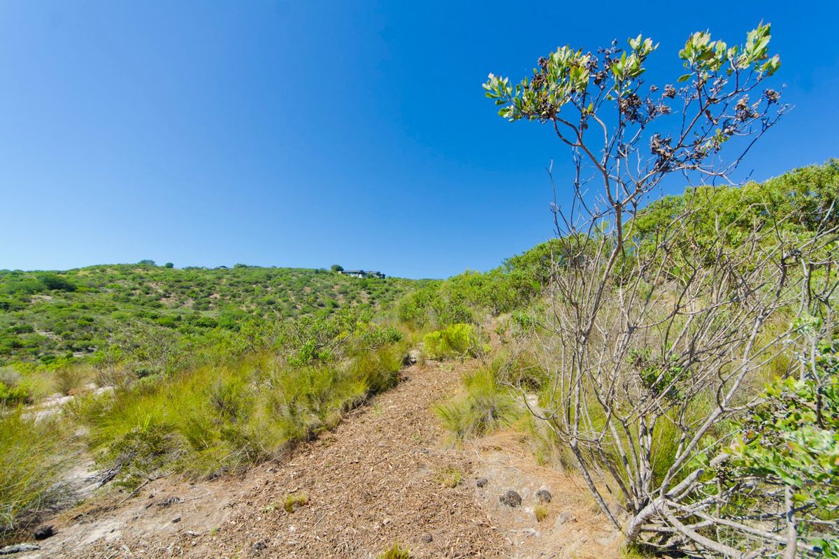 NEW RELEASE : Phase 3 Plots - Photo 5