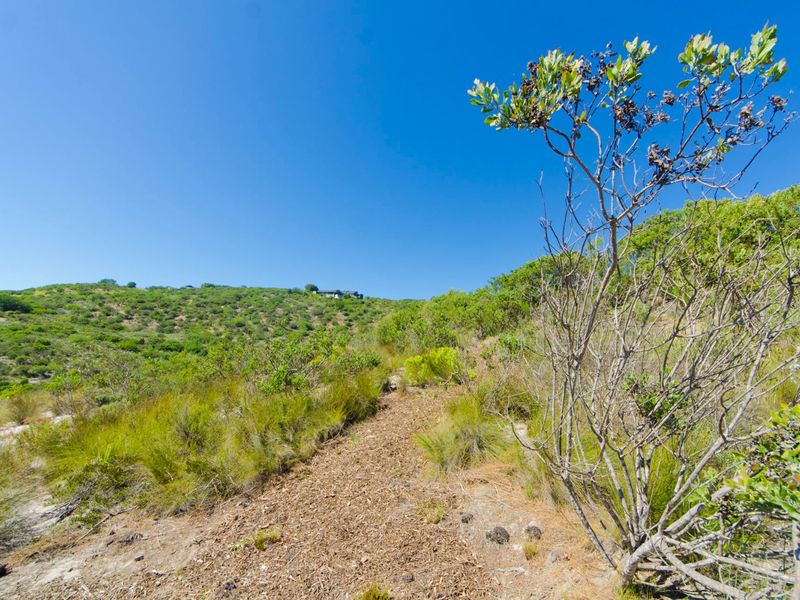 NEW RELEASE : Phase 3 Plots - Photo 5