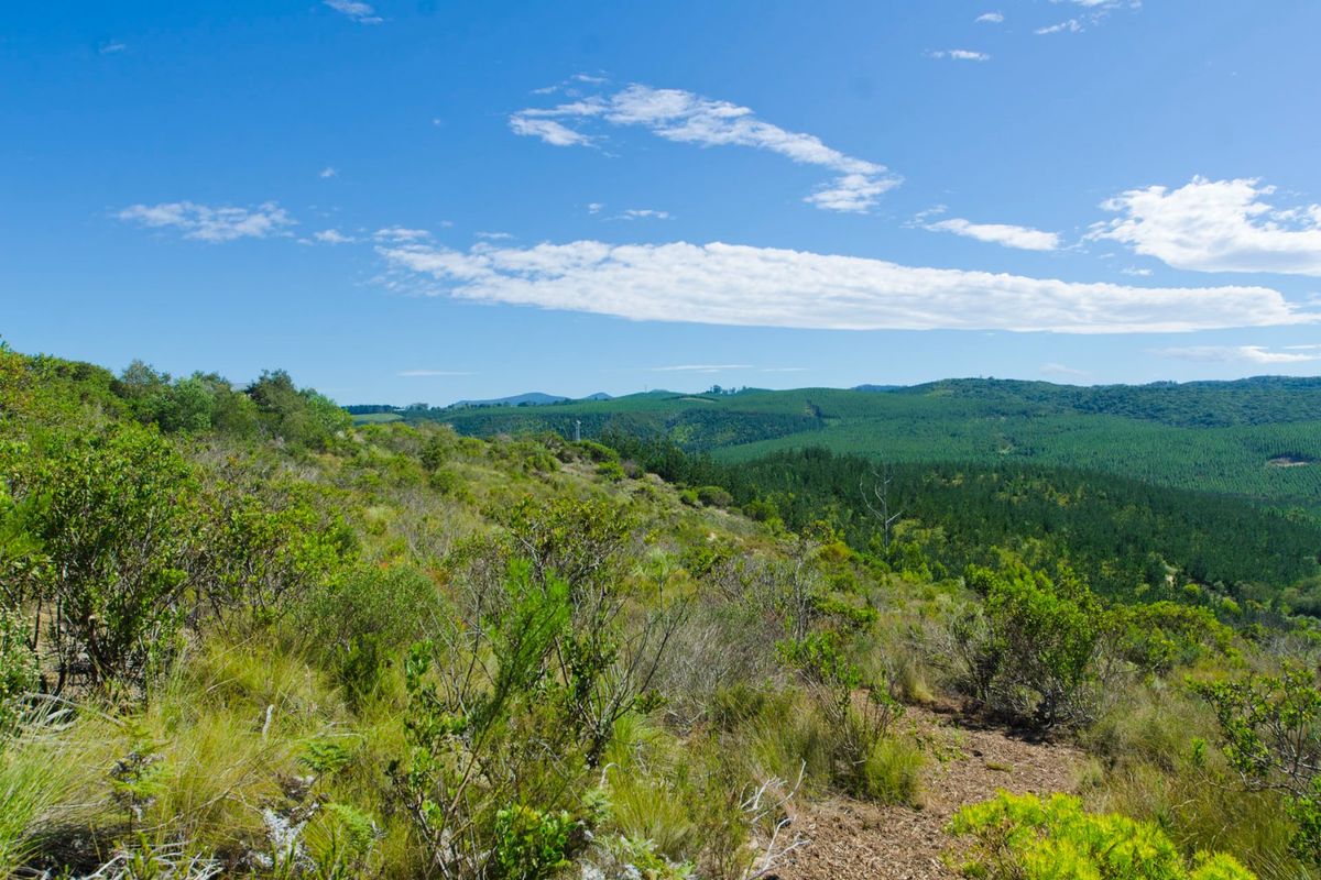 NEW RELEASE : Phase 3 Plots - Photo 3