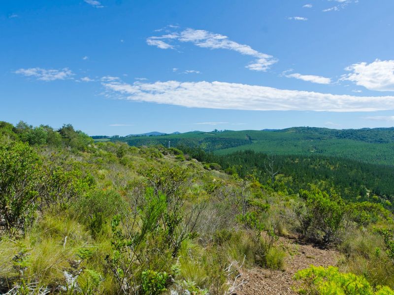 NEW RELEASE : Phase 3 Plots - Photo 3