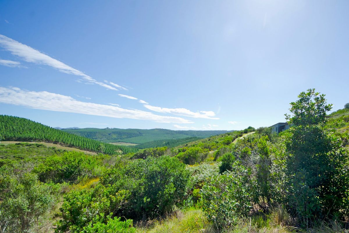 NEW RELEASE : Phase 3 Plots - Photo 2