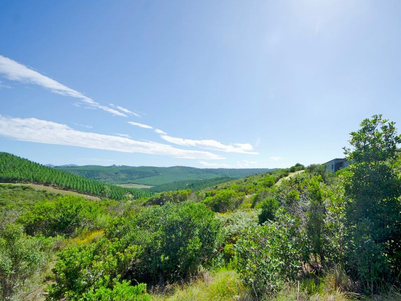 NEW RELEASE : Phase 3 Plots - Photo 2