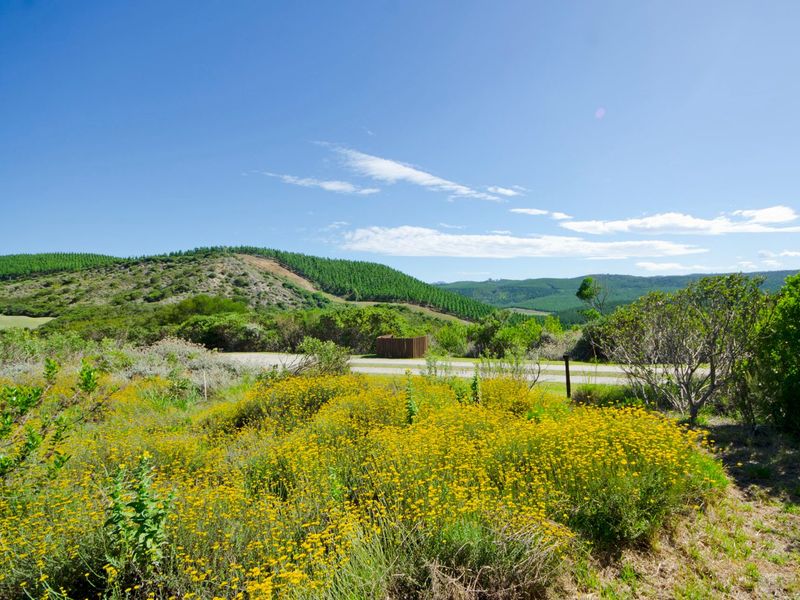 NEW RELEASE : Phase 3 Plots - Photo 3