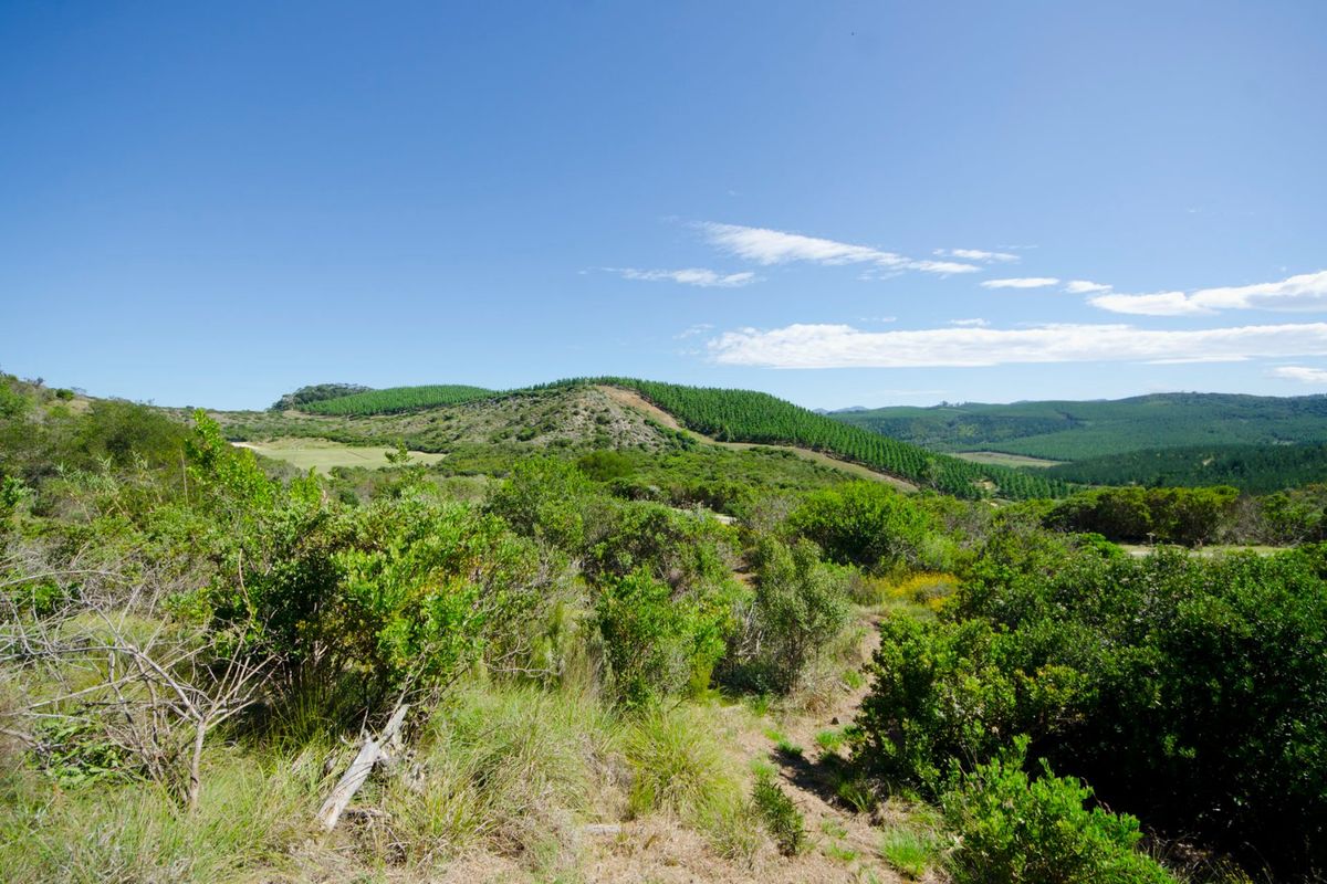 NEW RELEASE : Phase 3 Plots - Photo 4