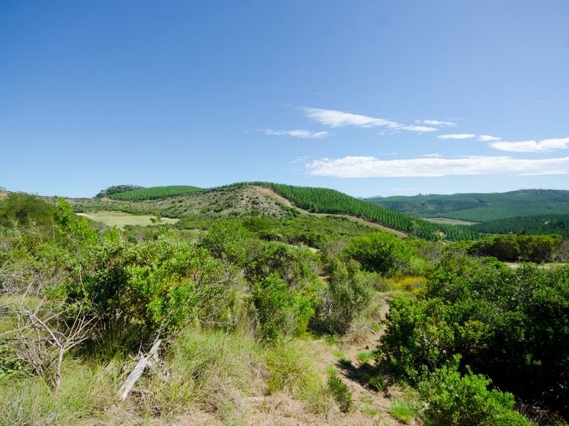 NEW RELEASE : Phase 3 Plots - Photo 4