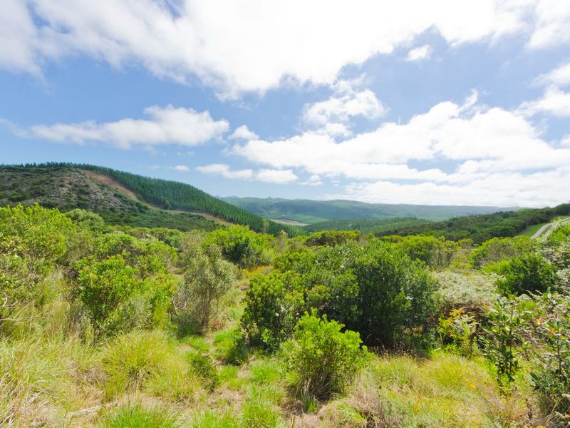 NEW RELEASE : Phase 3 Plots - Photo 7